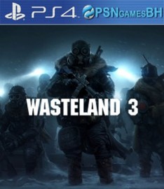 Wasteland 3 PS4 - VIP
